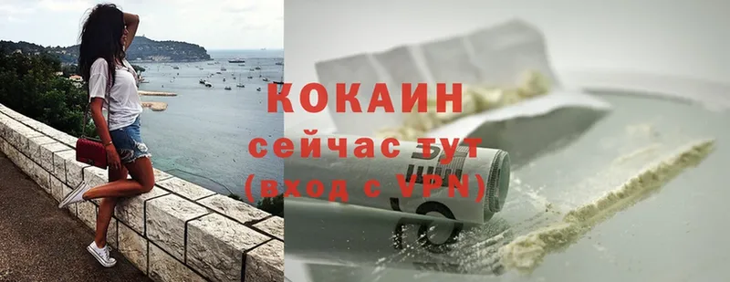 Кокаин Fish Scale  где продают   мориарти как зайти  Дмитров 