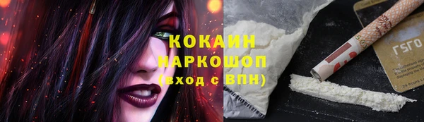 мяу мяу мука Михайловск