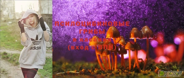 PSILOCYBIN Михайловка