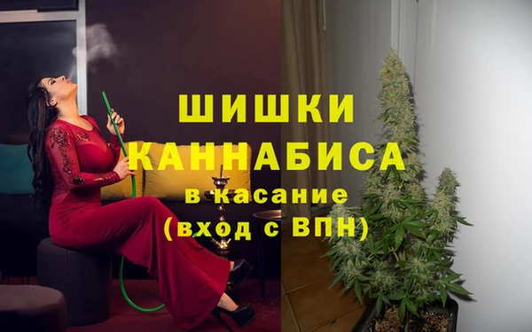 PSILOCYBIN Михайловка