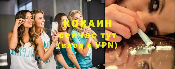 мяу мяу мука Михайловск