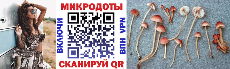 даркнет сайт  Дмитров  Галлюциногенные грибы прущие грибы 