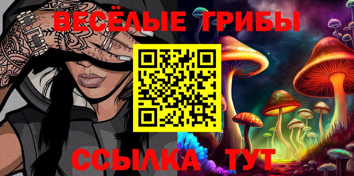 Псилоцибиновые грибы Psilocybe Дмитров