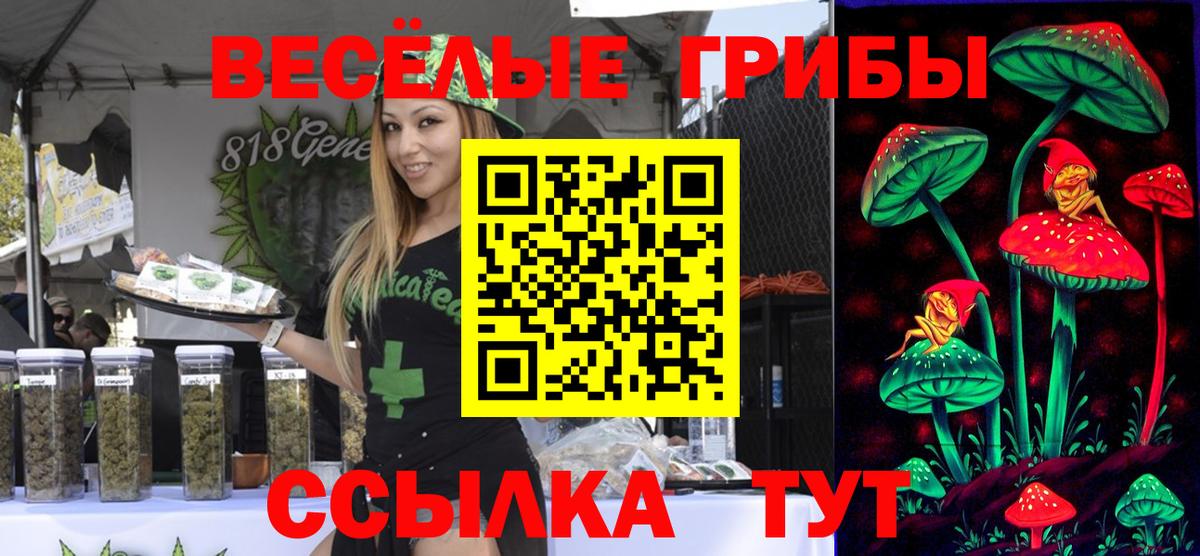 Дмитров  где продают наркотики  Вход с VPN  Галлюциногенные грибы ЛСД 