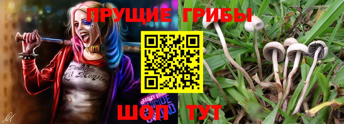 Галлюциногенные грибы прущие грибы  цены   Дмитров 